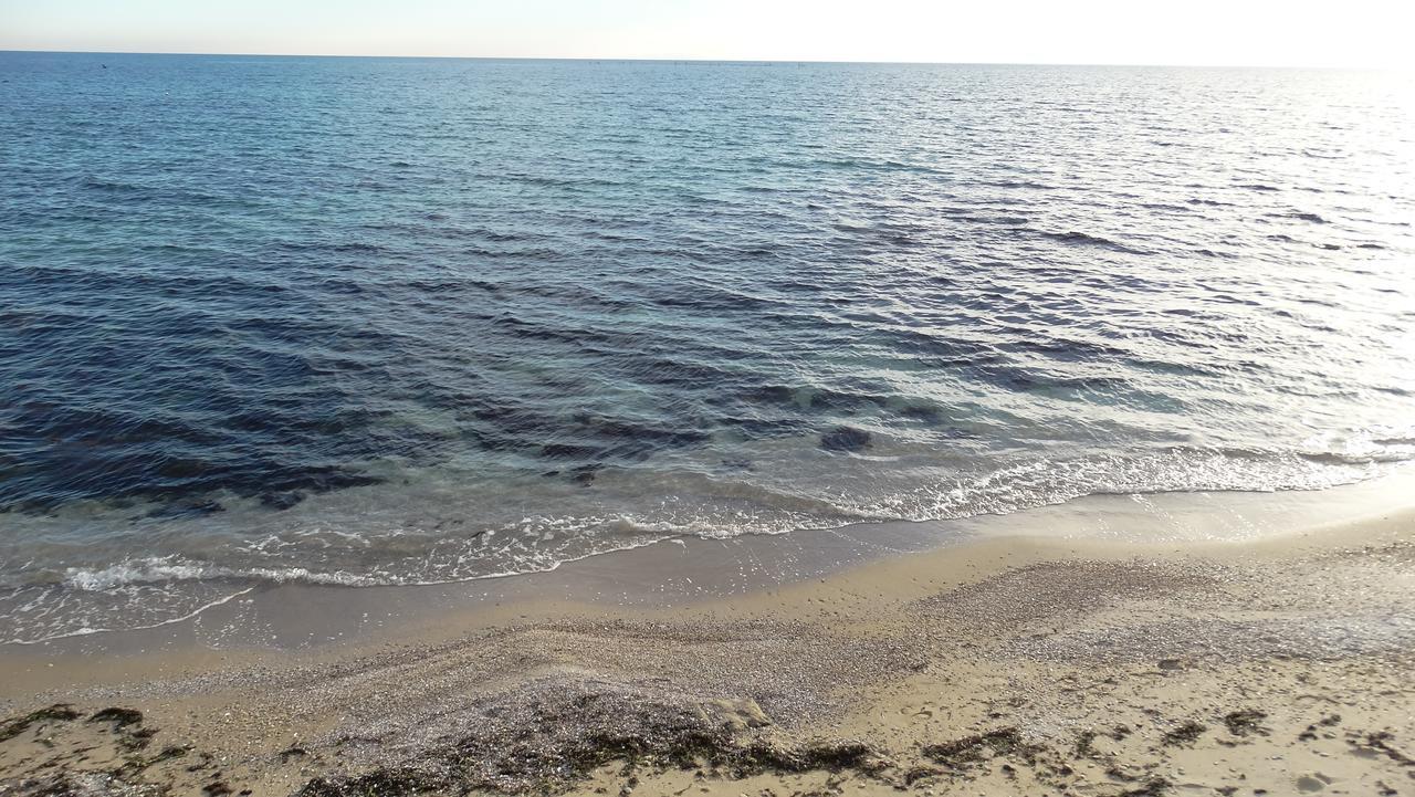 Akrotiria Beach Apart Complex ネセバル エクステリア 写真